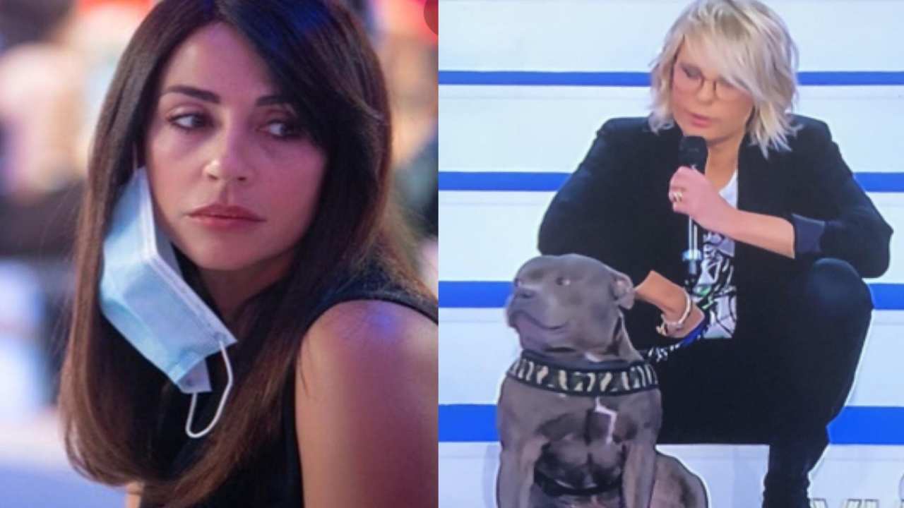 raffaella-mennoia-saki-political24