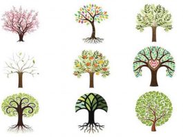 Alberi personalità Political24