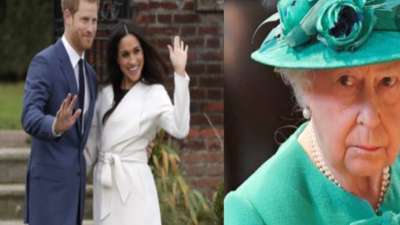 harry-meghan-regina-political24