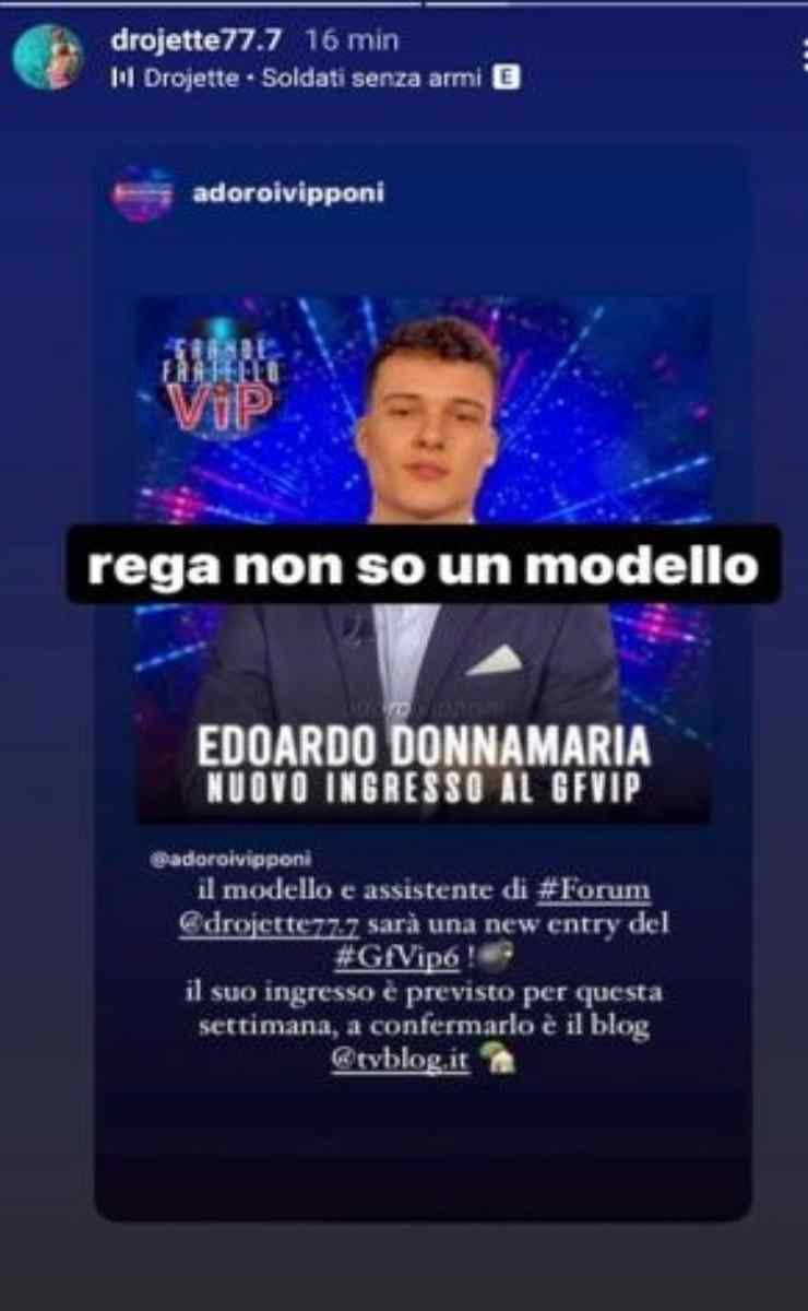 edoardo donnamaria gf vip 6-political24