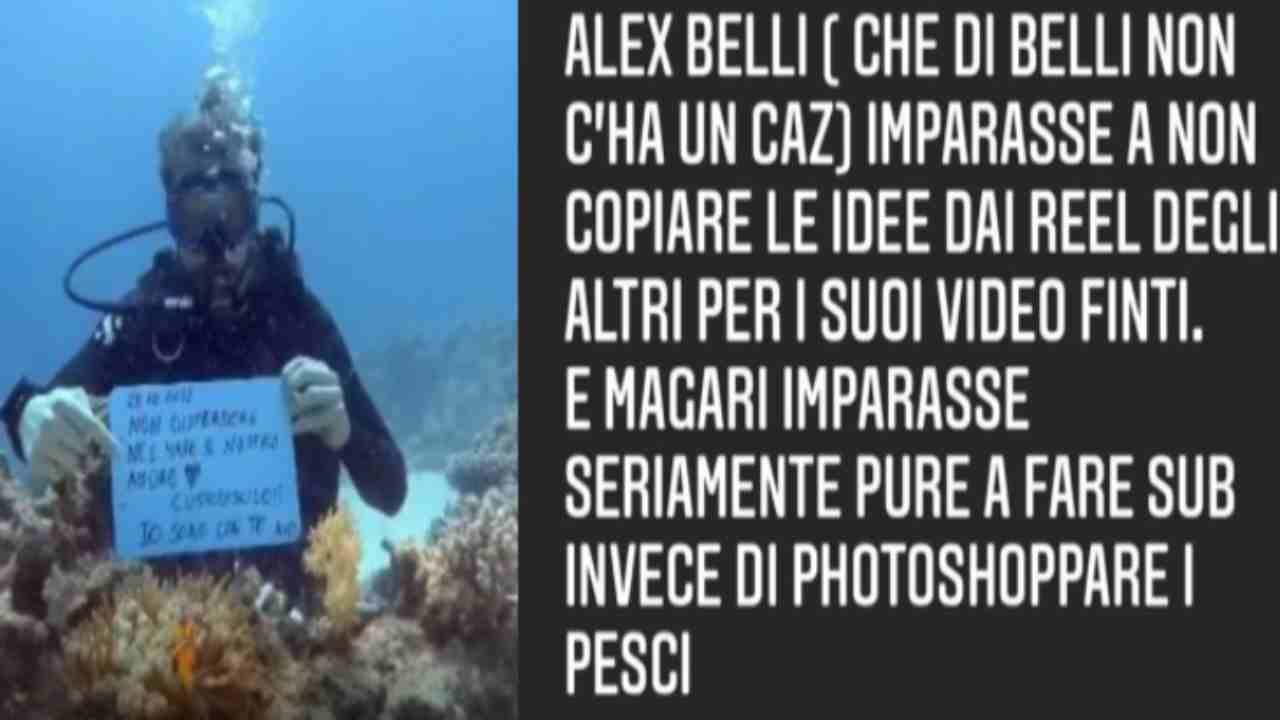 Alex Belli sub Political24