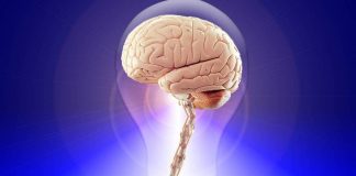 Che tipo di intelligenza hai?